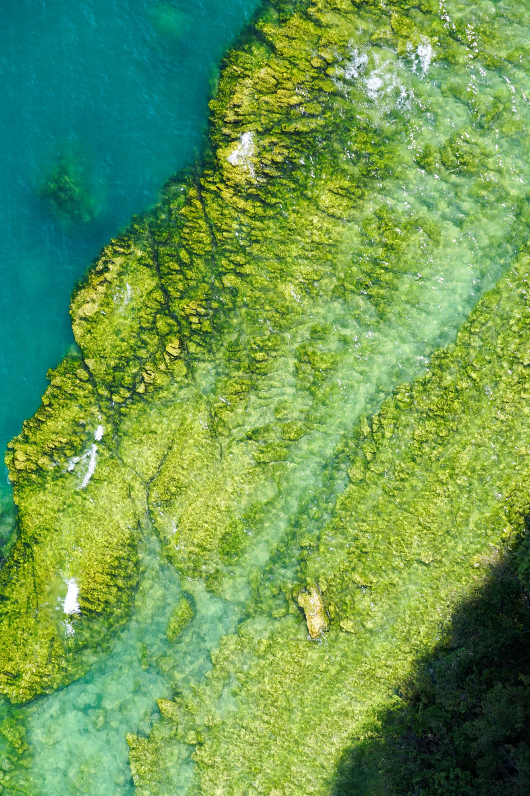 Bolha de algas marinhas com o dobro da largura dos EUA se dirige à Flórida