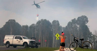Flórida enfrenta mais de 130 incêndios florestais em temporada histórica