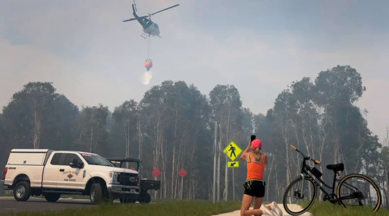 Flórida enfrenta mais de 130 incêndios florestais em temporada histórica