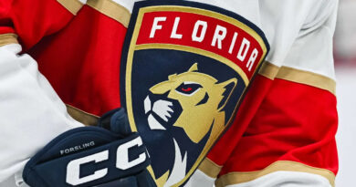Imagem sobre hóquei feminino usada no post do Florida Panthers sobre novo programa para meninas
