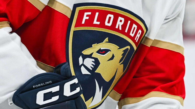 Imagem sobre hóquei feminino usada no post do Florida Panthers sobre novo programa para meninas