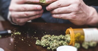 Flórida avalia reclassificação federal da maconha medicinal Flórida avalia reclassificação federal da maconha medicinal