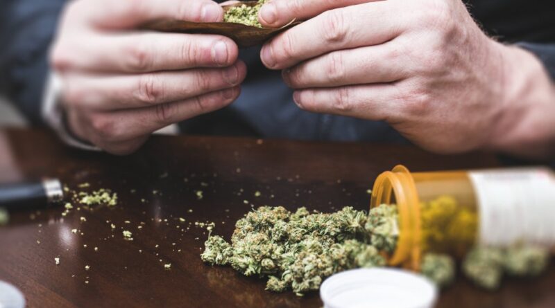 Flórida avalia reclassificação federal da maconha medicinal
