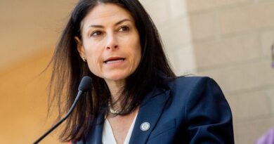 Demonstracao sobre exigencias de trabalho do Medicaid nos Estados Unidos