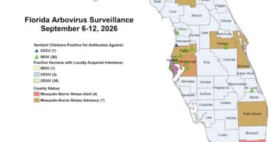 Dengue cresce na Flórida: 152 casos e alerta em 11 condados Mapa de vigilância de arbovírus da Flórida mostrando casos de dengue por condado em setembro de 2026